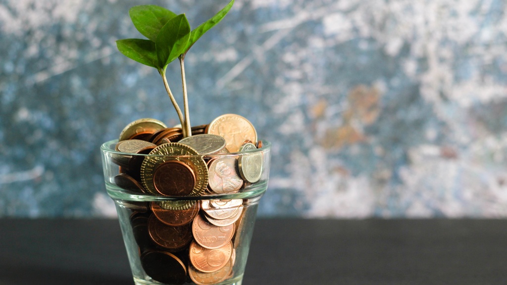 plant growing out of glass with coins in it